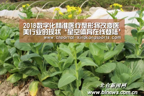 星空体育在线登陆