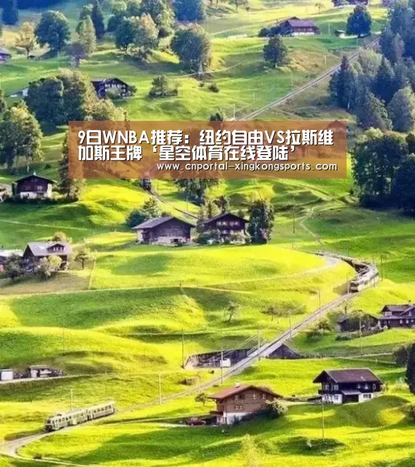 星空体育安卓