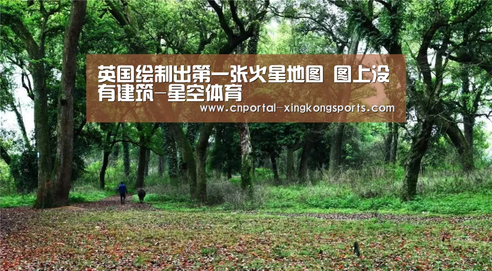 星空体育在线登陆