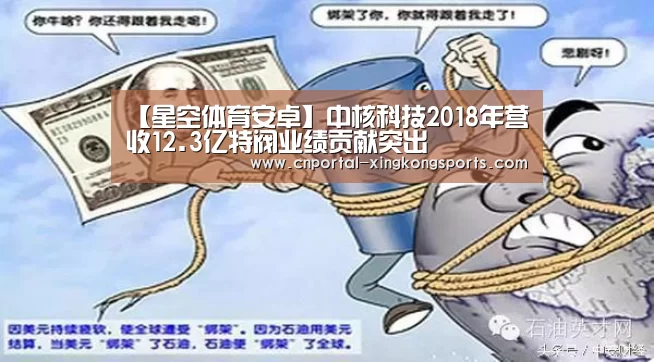 【星空体育安卓】中核科技2018年营收12.3亿特阀业绩贡献突出