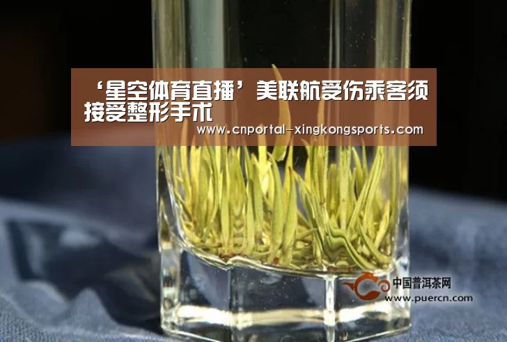 ‘星空体育直播’美联航受伤乘客须接受整形手术