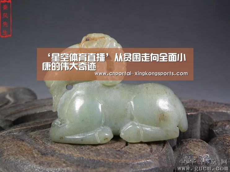 星空体育直播